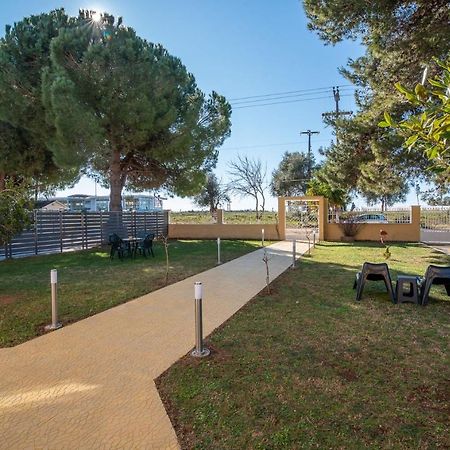 Pine Trees Apartment Превеза Экстерьер фото